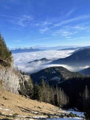 Výnimočná Poluidnica 1